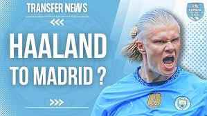 斑马军团 斑马军团